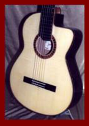 Classical Guitar Cut-a-Way